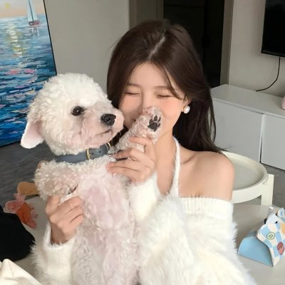 游戏规则